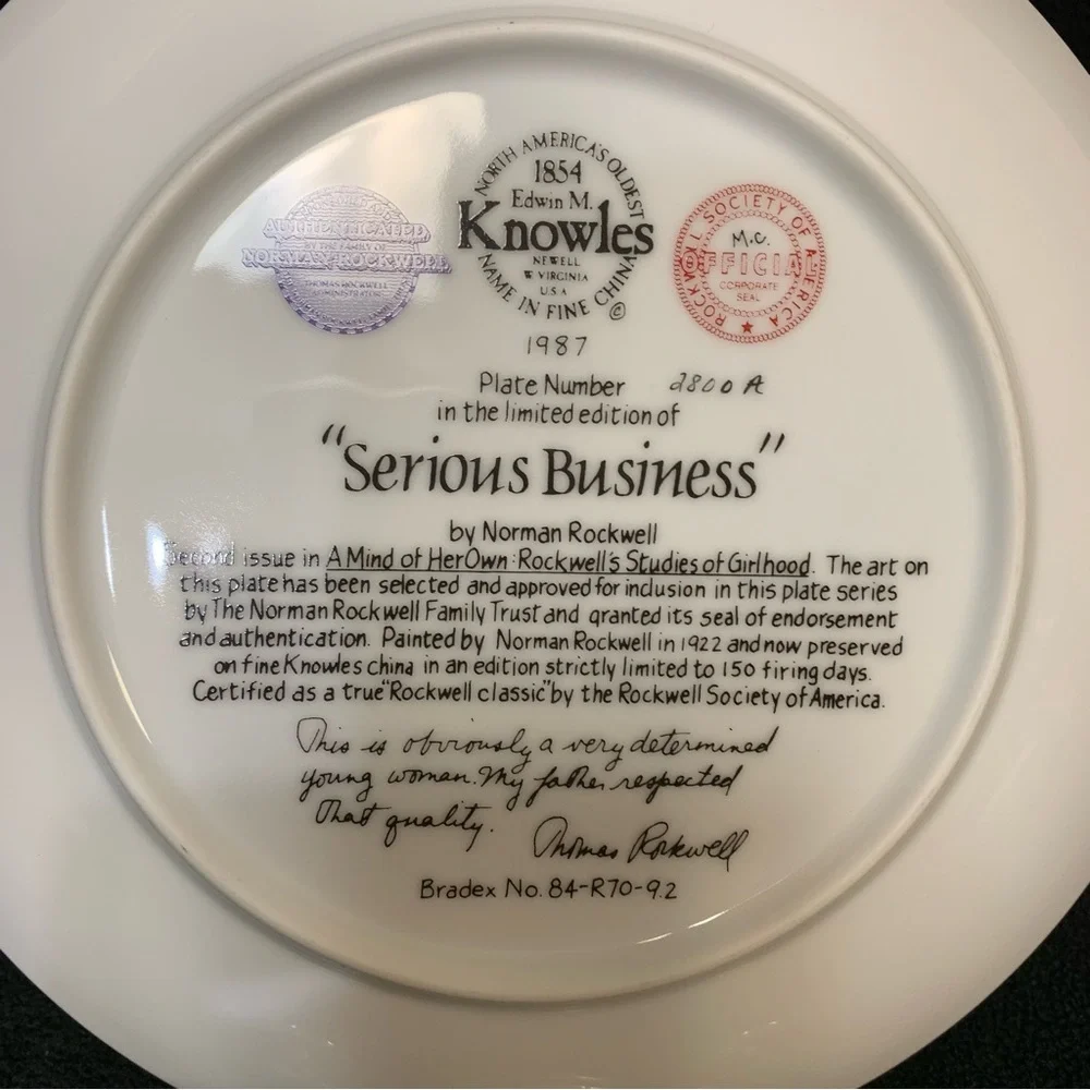 Vintage KNOWLES Norman Rockwell 1987 Serious Business Collector Plate Home Deco